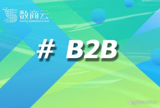 垂直2B平台案例分享：打造行业领先的商业模式｜数商云